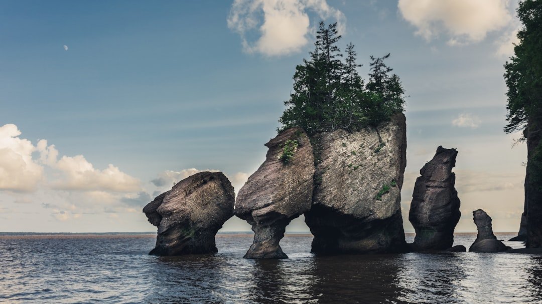 Bay of Fundy tidal flats and exposed ocean floor