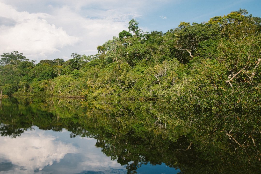 River winding through Amazon rainforest