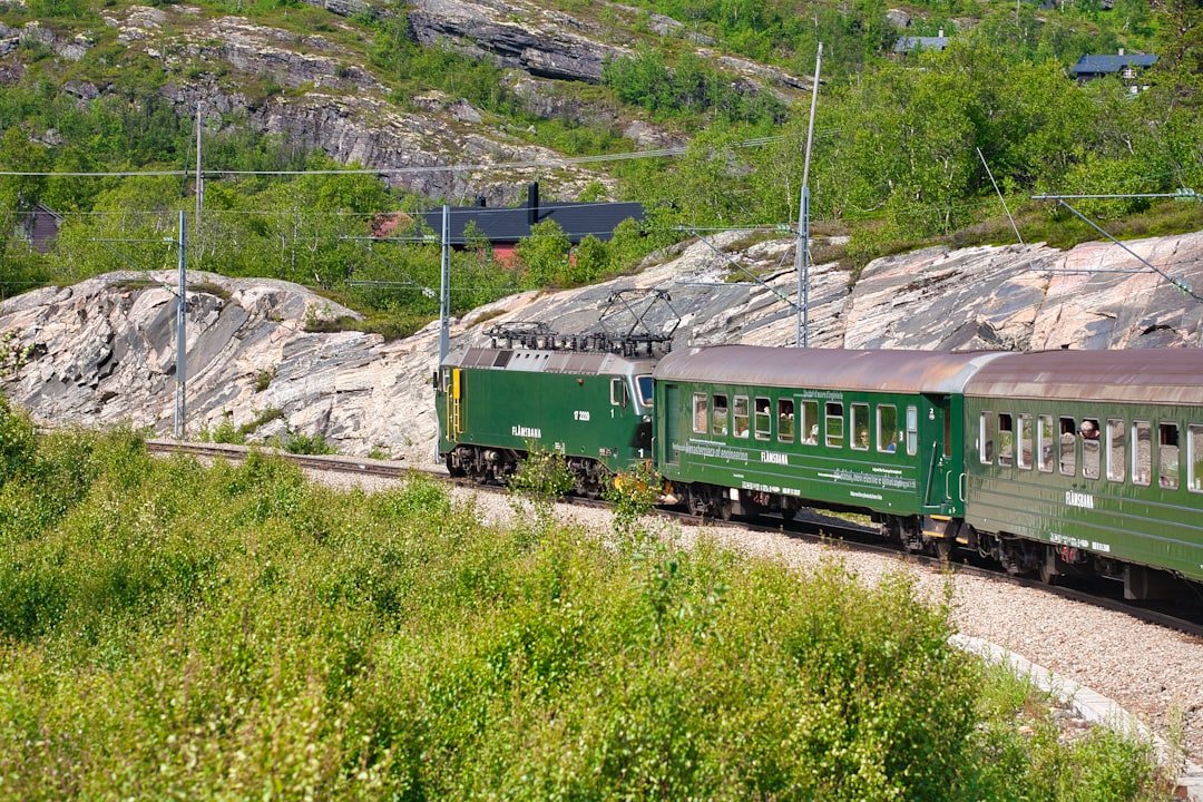 Flam railway train in mountain valley