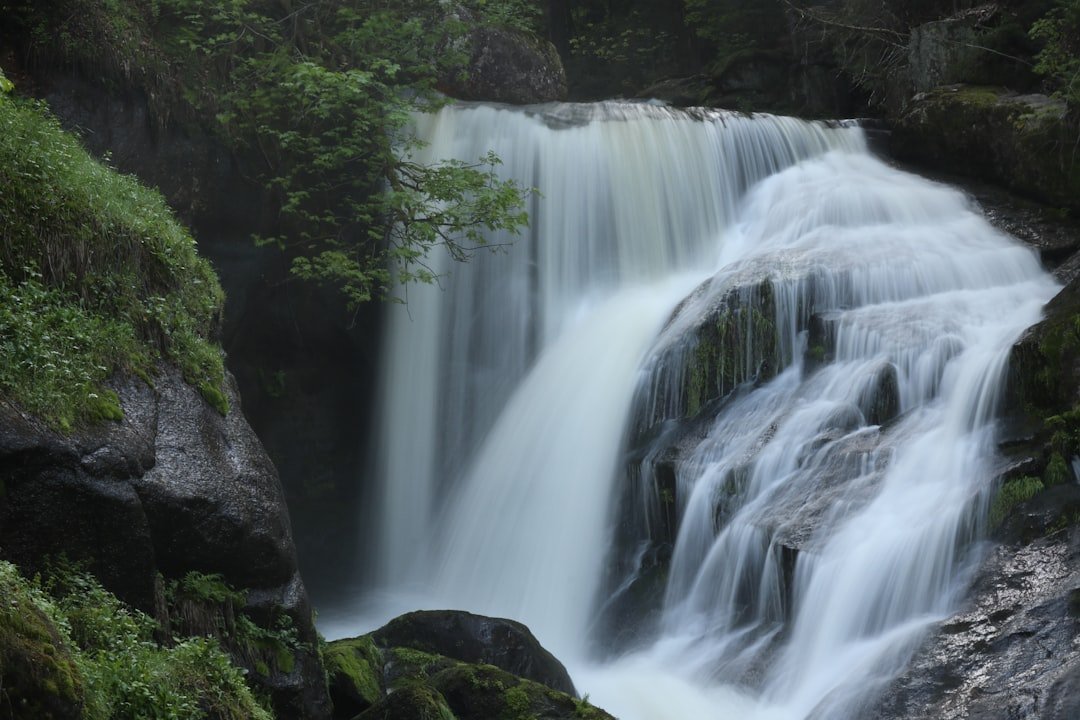 Forest waterfall with rocky cascade