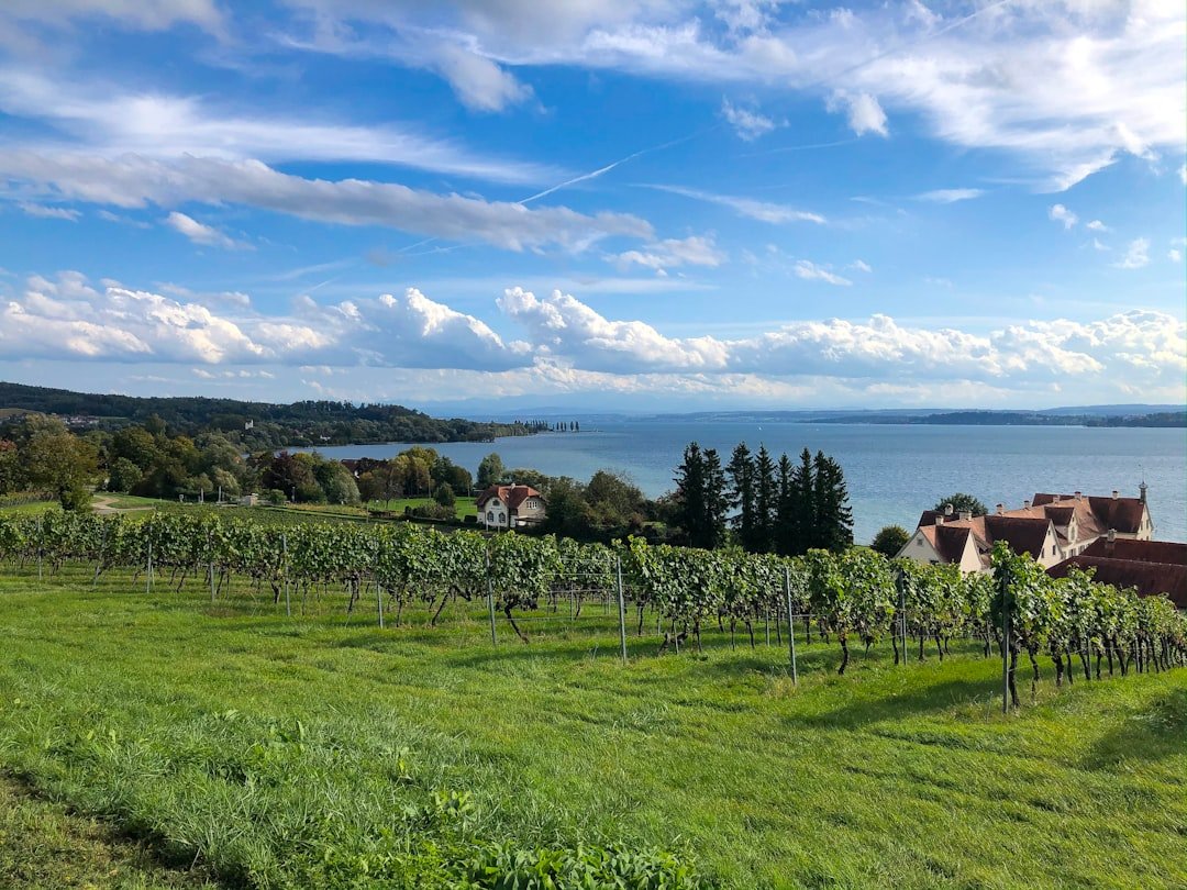 Lake Constance shoreline with ferries