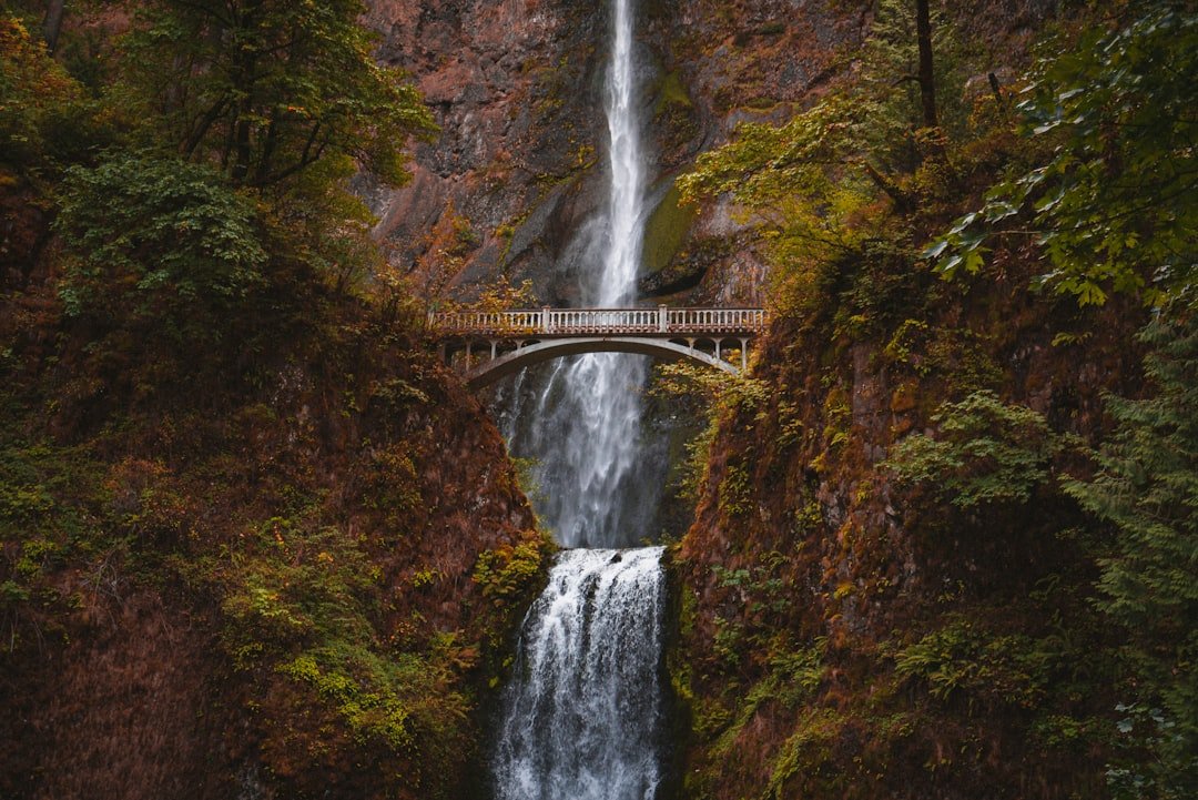 Multnomah waterfall Columbia River Gorge