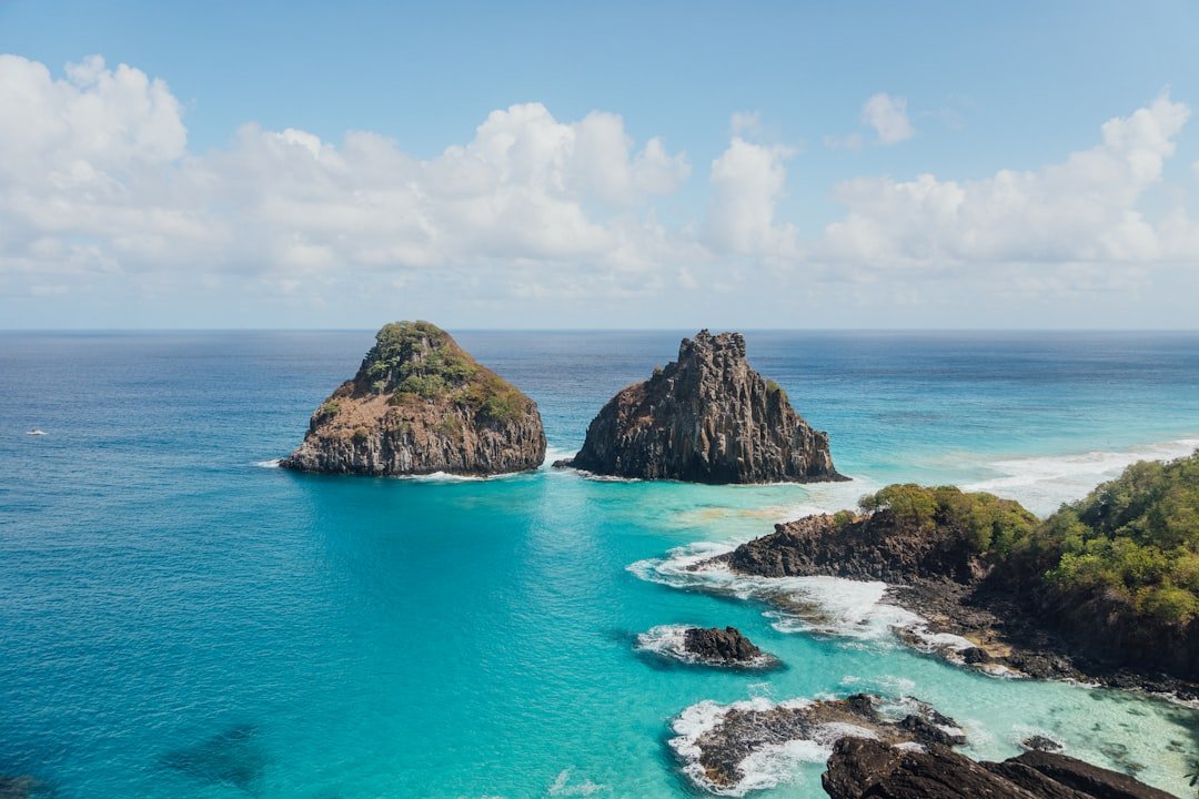 Fernando de Noronha snorkeler with sea turtles