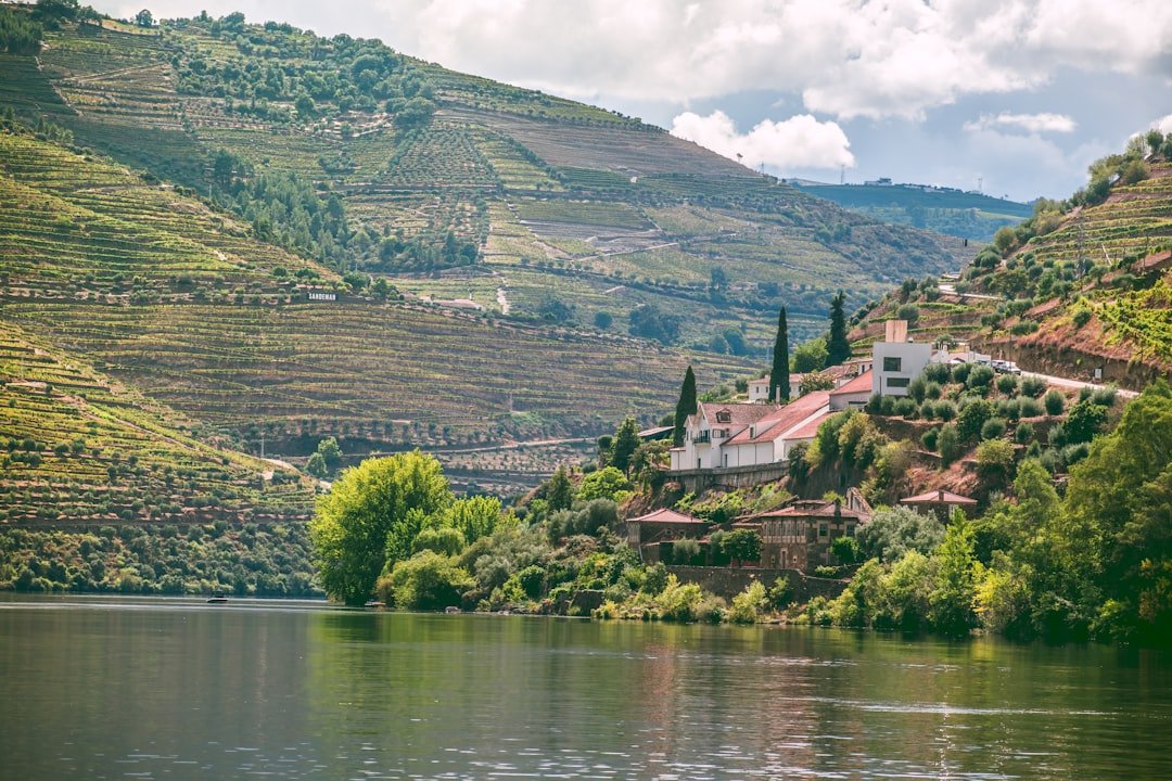 Douro terraced vineyards along steep river slopes