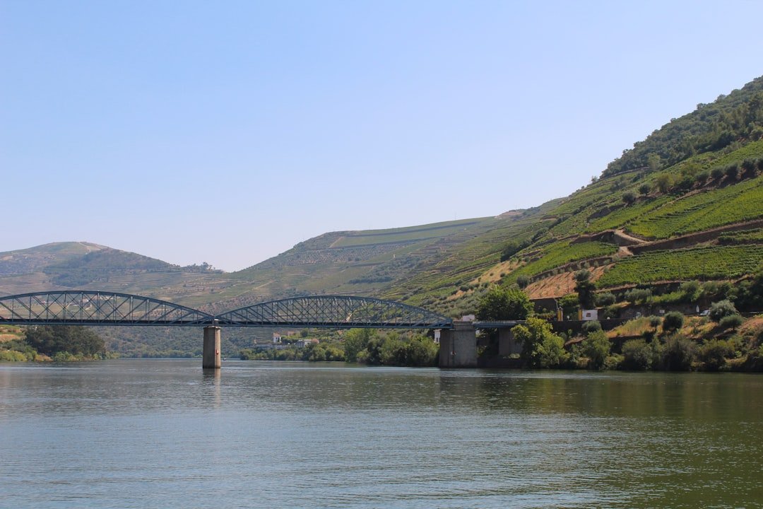 Terraced vineyards along riverbank