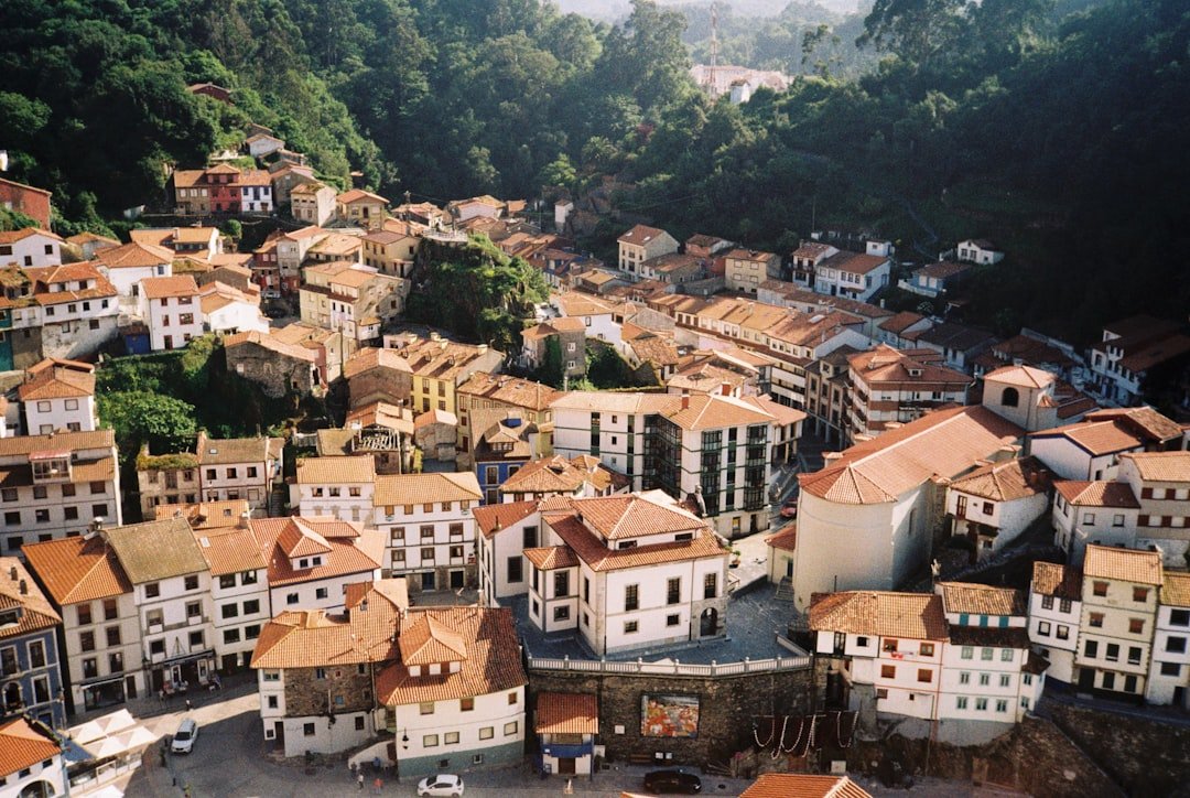 Colorful hillside fishing village