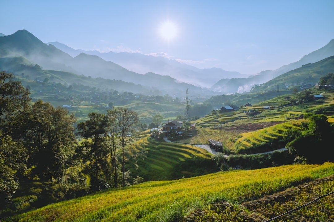 Sapa terraced rice fields and mountain mist