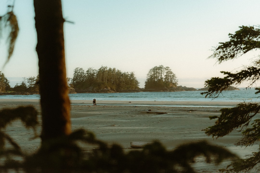 Tofino beach with surf and forest backdrop