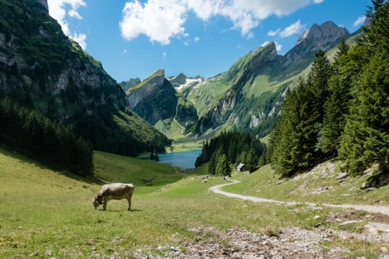 Switzerland’s Most Scenic Lakes: A Traveler’s Guide to Mirror-Blue Escapes