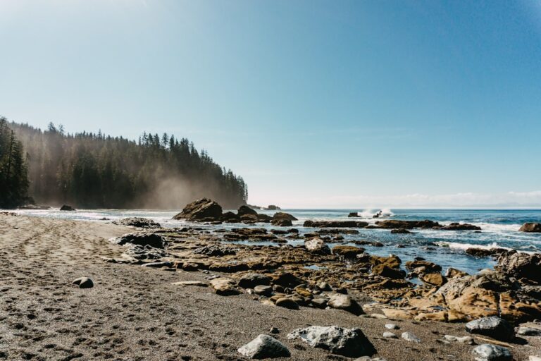 Vancouver Island Travel Guide: Coastal Towns, Wildlife & Natural Wonders
