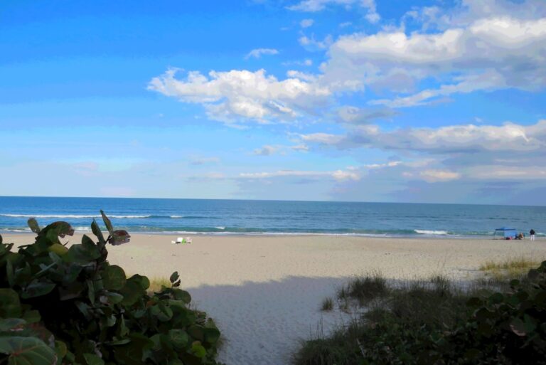 Florida Coastal Highlights: A Guide to the Sunshine State’s Best Beaches