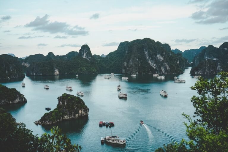 Vietnam Revealed: Cities of History, Spectacular Landscapes and Unforgettable Flavors