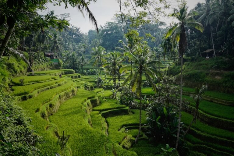Bali Essentials: Temples, Rice Terraces, Beaches & Genuine Local Life