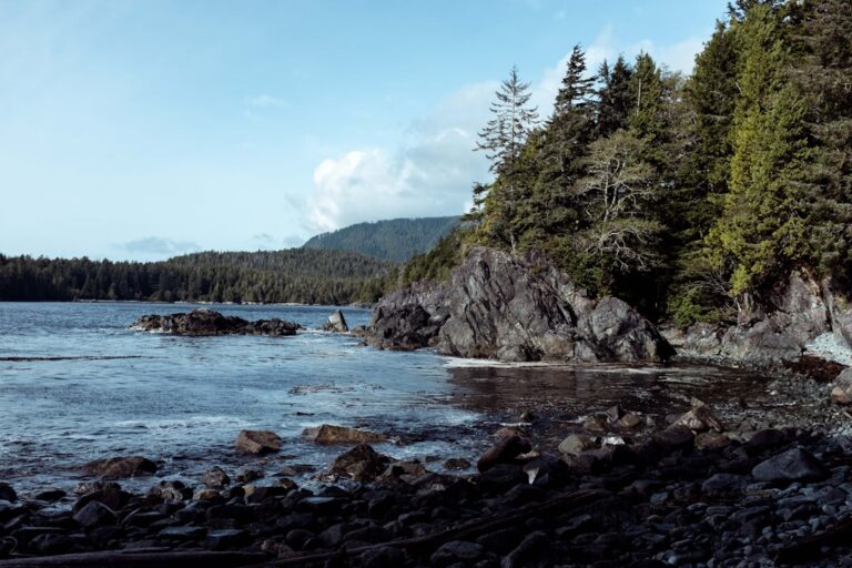 Exploring Vancouver Island: Coastal Towns, Wildlife and Wild Places