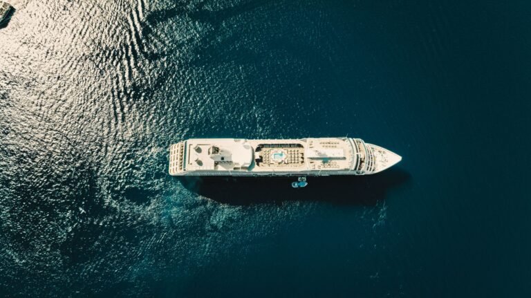 Cruise eSIM