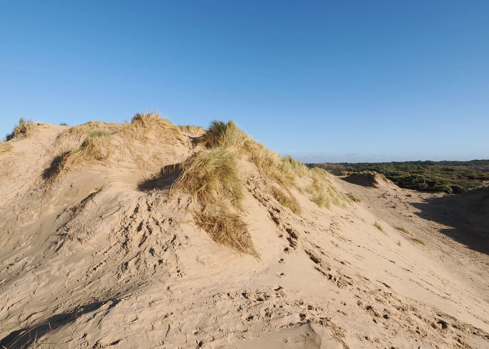 Sunny view of sandy dunes at Formby Beach with blue sky and grass.