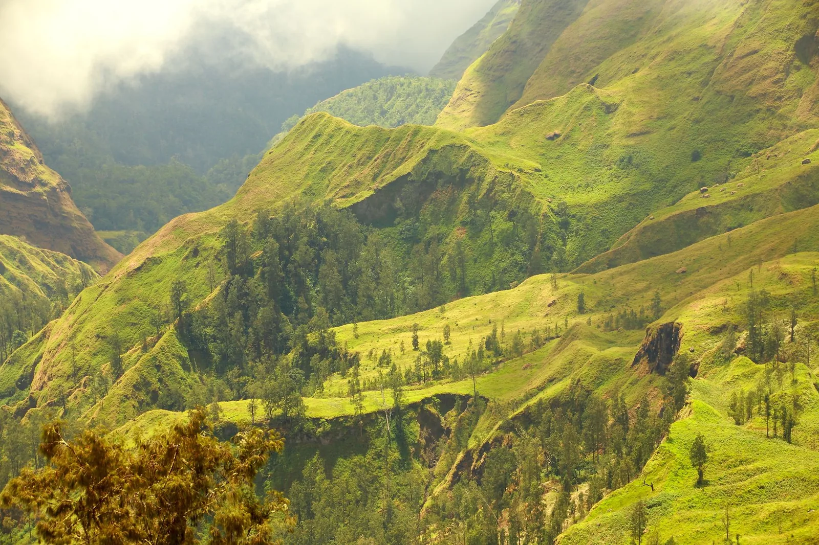 Captivating view of lush green hills on Mount Rinjani, West Nusa Tenggara, Indonesia.