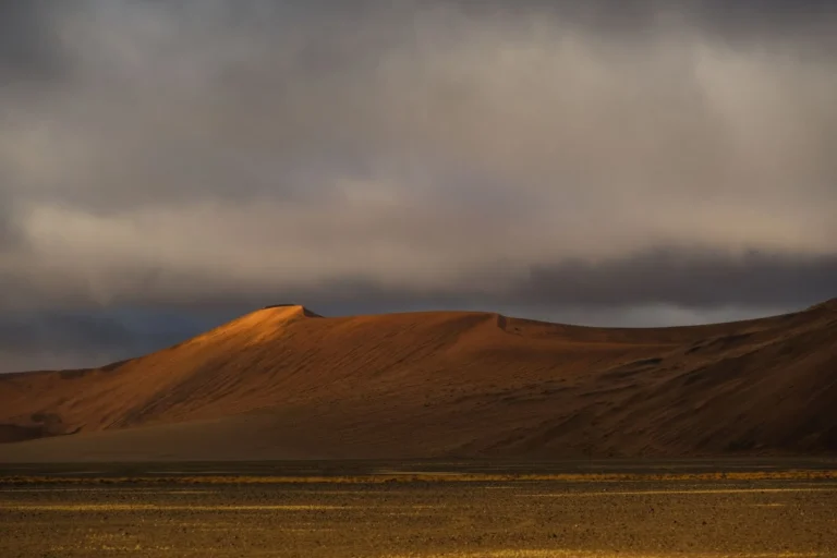 Golden light illuminates desert dunes under dramatic skies in Namib Desert, Hardap, Namibia.