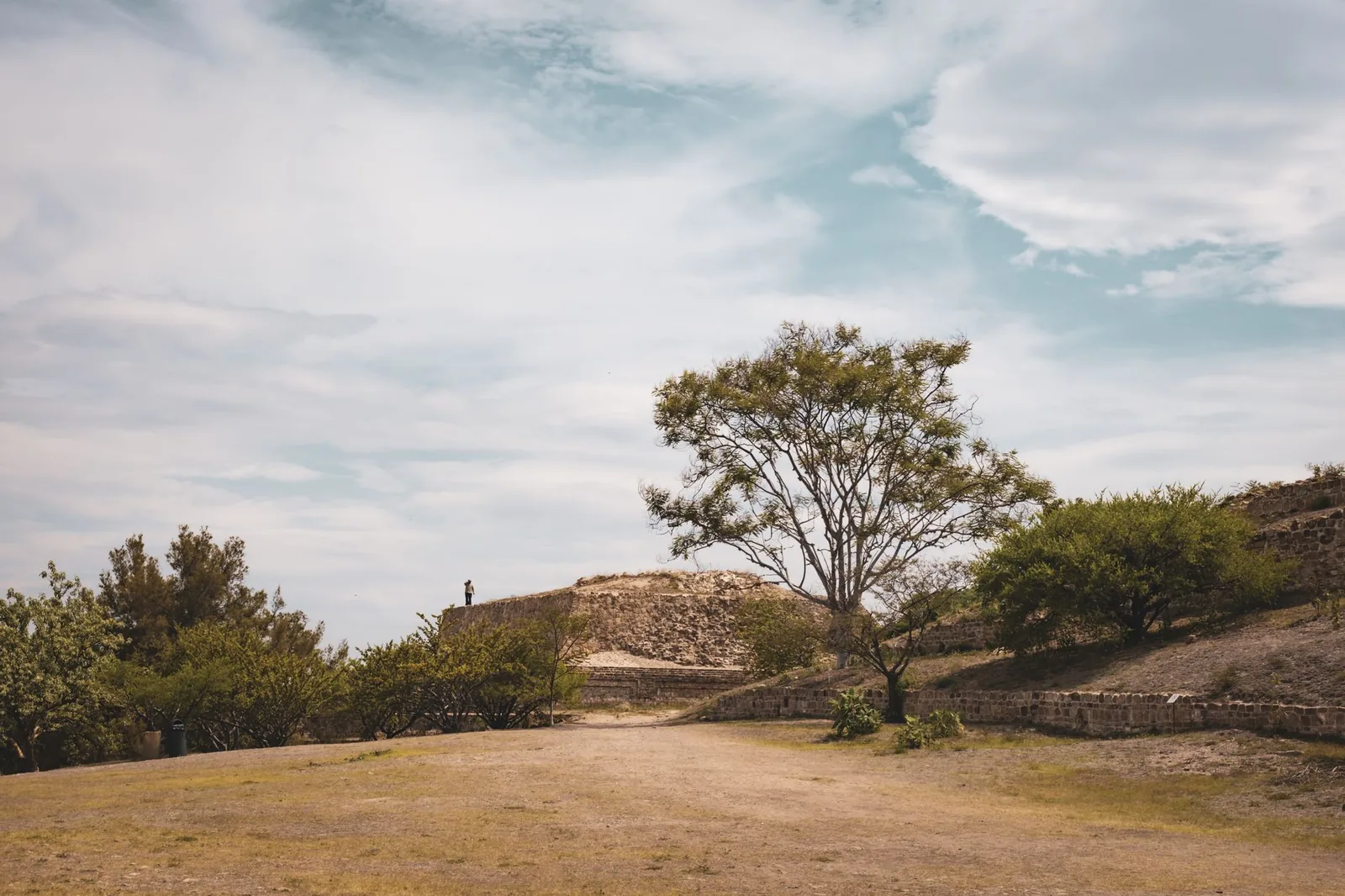 Wide view of Monte Albán in Oaxaca, showcasing ancient ruins and a tranquil tree under a vast sky.