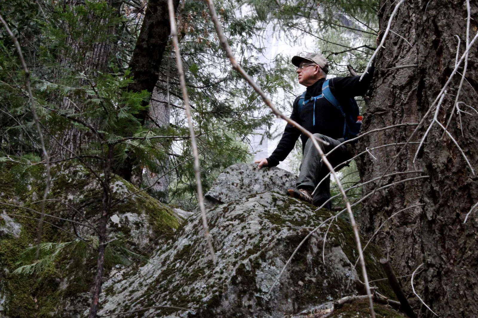 Man climbing mossy rocks in a dense forest in Mariposa County, CA.