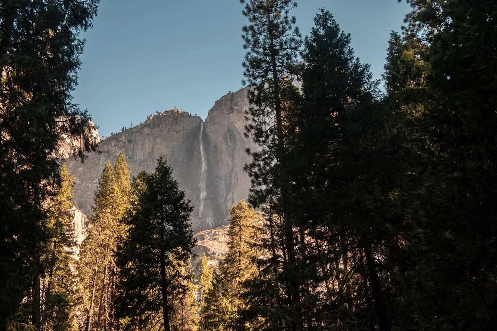 Scenic view of a waterfall in Yosemite Valley surrounded by towering trees and cliffs.