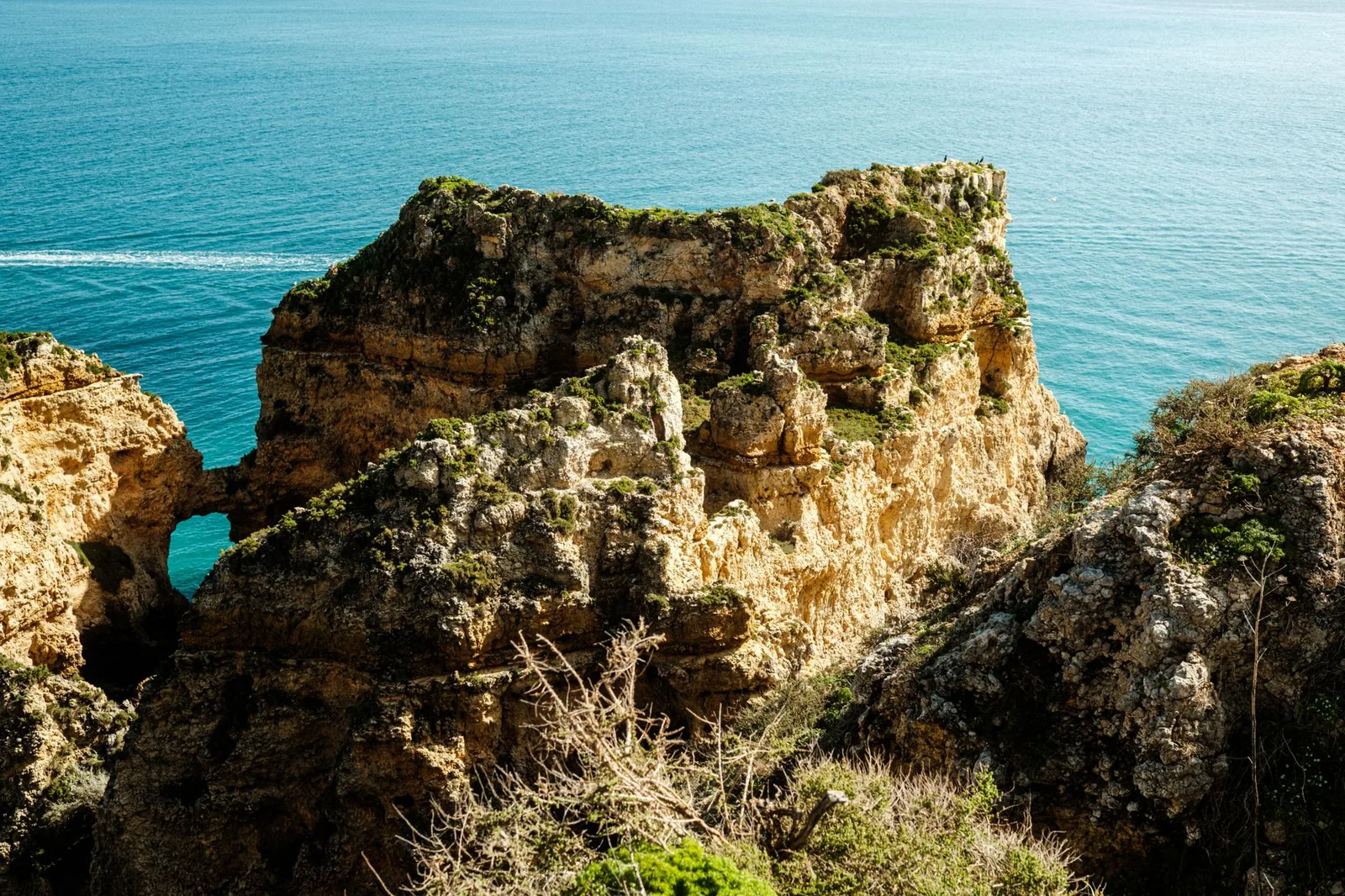 Dramatic view of Algarve cliffs with lush greenery against a vibrant blue ocean backdrop.