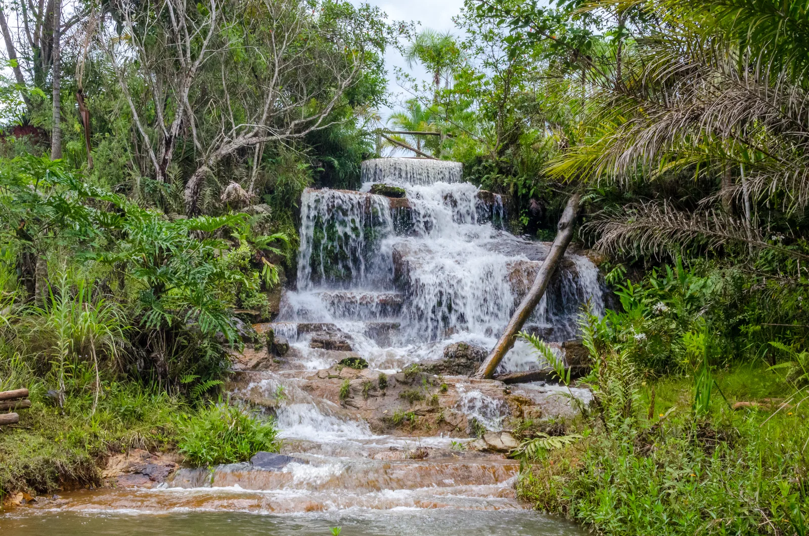 Scenic cascading waterfall in vibrant tropical forest. Ideal for nature enthusiasts.